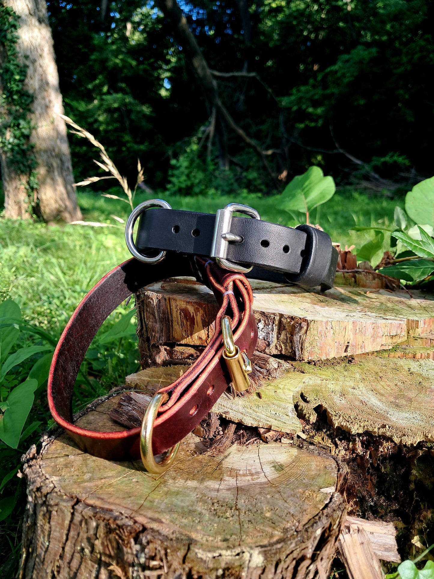 Harness Leather Pet Collar