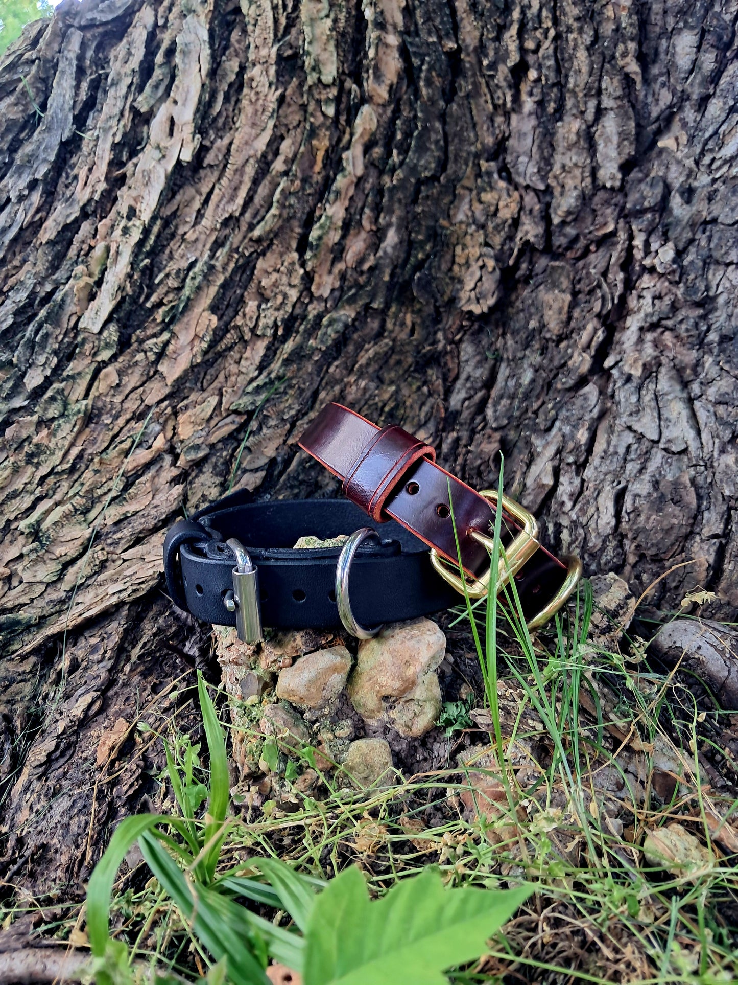 Harness Leather Pet Collar