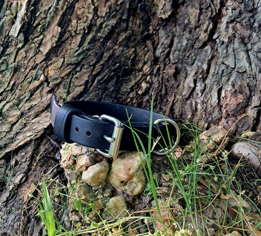 Harness Leather Pet Collar