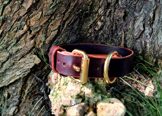 Latigo Leather Pet Collar