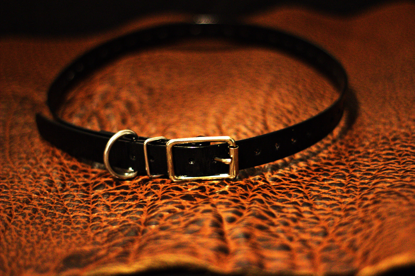 E-Collar Straps